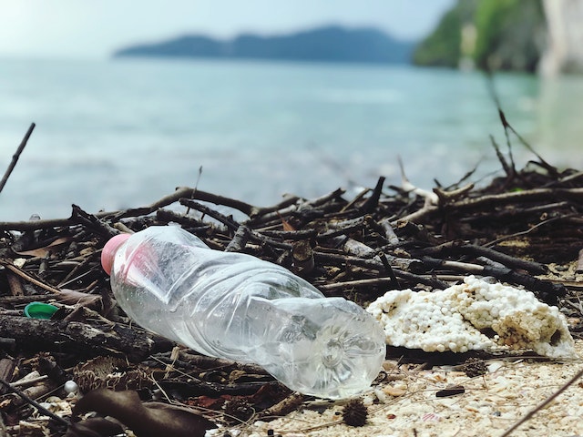 Traité contre la pollution plastique, les débuts d’un cadre
