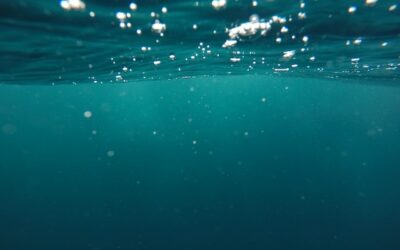 Le droit international peut-il sauver l’océan ?